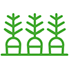 Gemüsering Icon Eigene Produktion